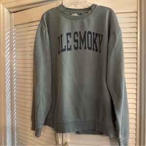 Sage  Men's or women’s Sweatshirt